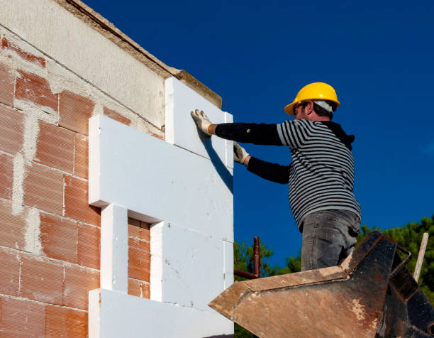 Insulation Replacement Services in Scott Af, IL