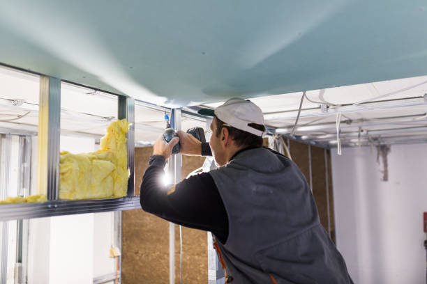 Best Home Insulation Services  in Scott Af, IL