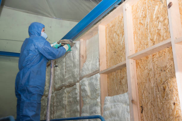 Best Affordable Insulation Services  in Scott Af, IL