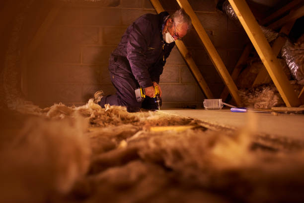 Best Insulation Removal  in Scott Af, IL